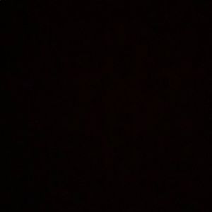 Meet your Posher, Noah